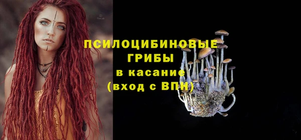 скорость Богданович