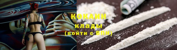 гашик Белокуриха