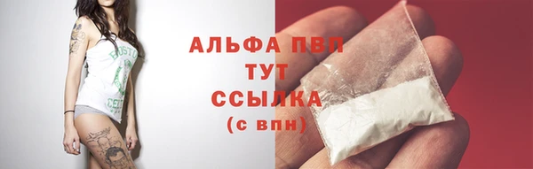 дживик Белоозёрский