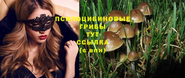 марки nbome Богородицк