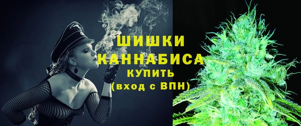 PSILOCYBIN Ельня
