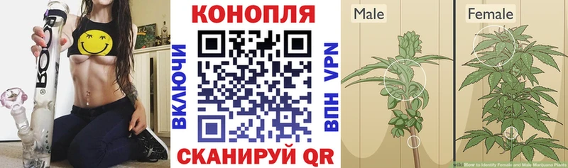 Шишки марихуана AK-47  Болхов 